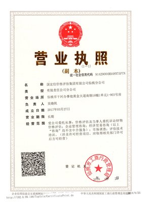 国宏信集团经济贸易咨询服务探析